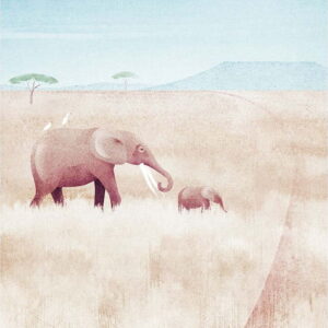 Plakát 30x40 cm Elephants - Travelposter. Nejlepší citáty o lásce