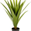 Umělá rostlina (výška 80 cm) Yucca – Kave Home. Nejlepší citáty o lásce